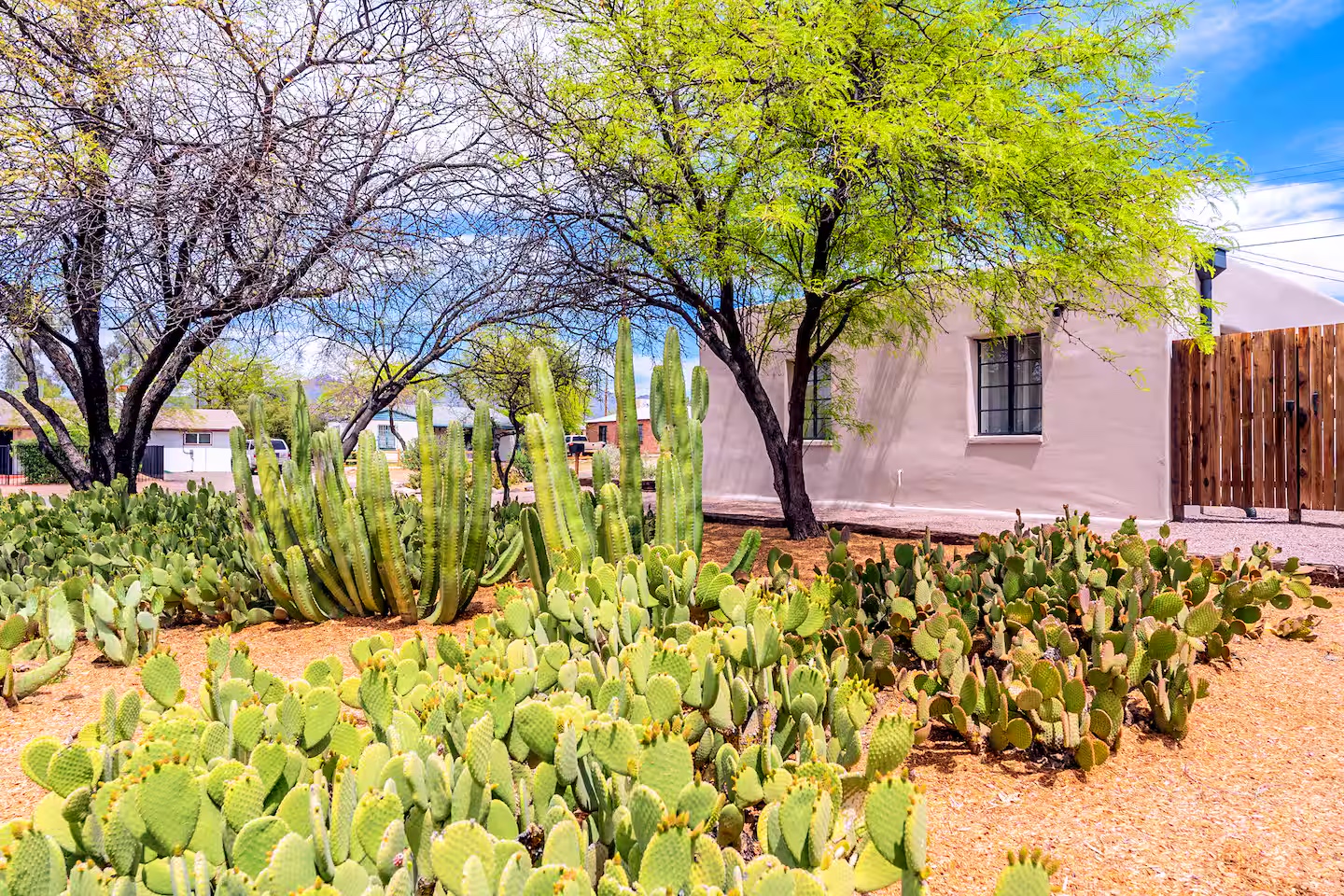 Tucson vacation Rental Casa Hermosa -02